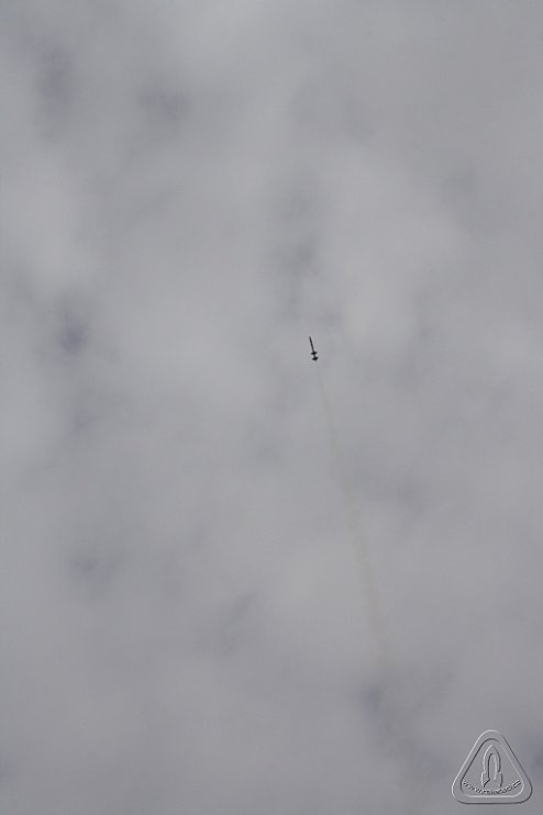 2013 Svojek Mirek Topinka